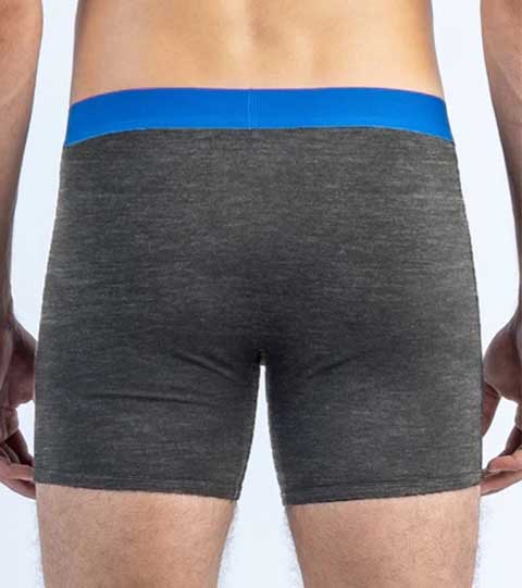 Boxer Twillory